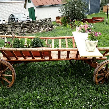Belye Rozy Hotel Nyasvizh Esterno foto